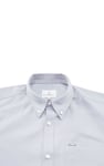 Button Down Collar Long Sleeve Shirt
