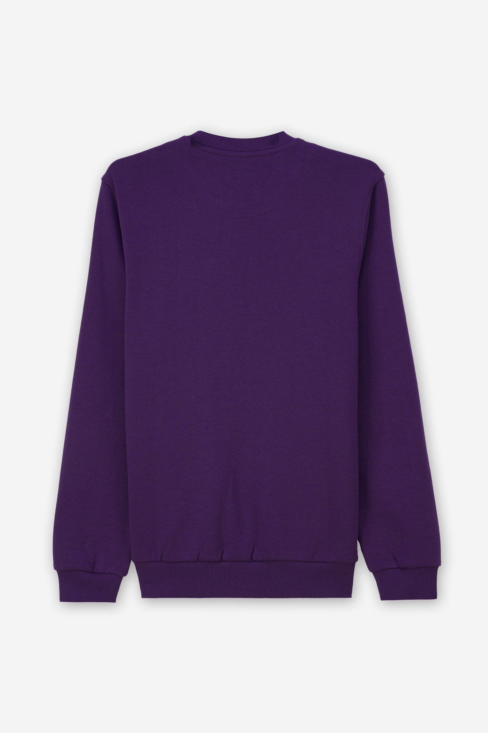 Mens Hibernation Sweatshirt