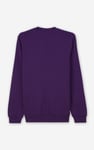 Mens Hibernation Sweatshirt