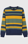Mens Classic Print Stripe Sweatshirt