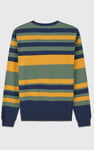 Mens Classic Print Stripe Sweatshirt