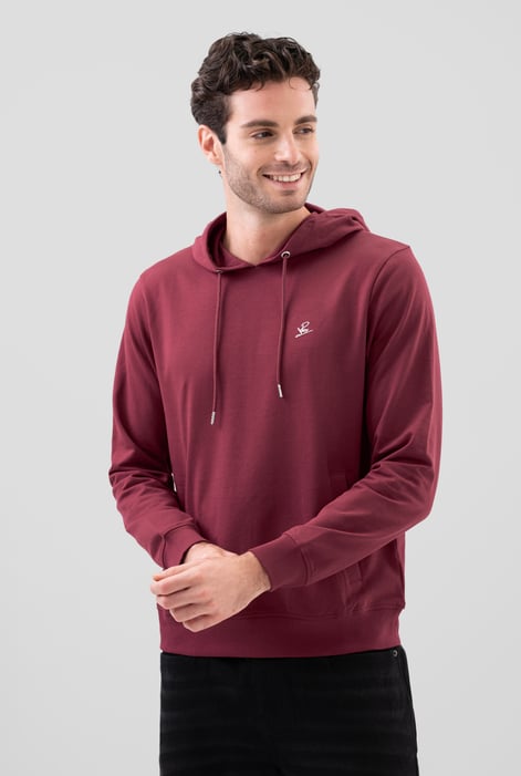 Men’s Brown Regular Fit Pullover Hoodie | Enorsia
