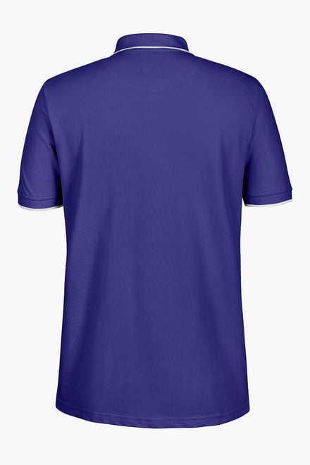 Men’s Regular Fit Tipped Quarter Zip Polo Shirt | Enorsia