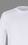 Cotton Long Sleeve T-Shirt 3 Pack