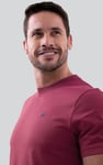 2 Pack Short Sleeve Cotton T-Shirt