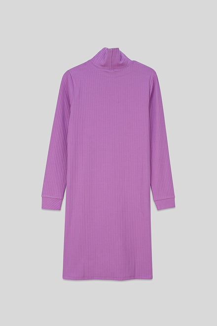 Ribbed Roll Neck Long Sleeve Mini Dress
