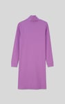 Ribbed Roll Neck Long Sleeve Mini Dress