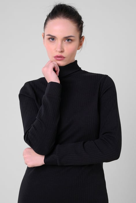 Black Ribbed Roll Neck Long Sleeve Mini Dress