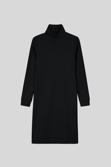 Ribbed Roll Neck Long Sleeve Mini Dress