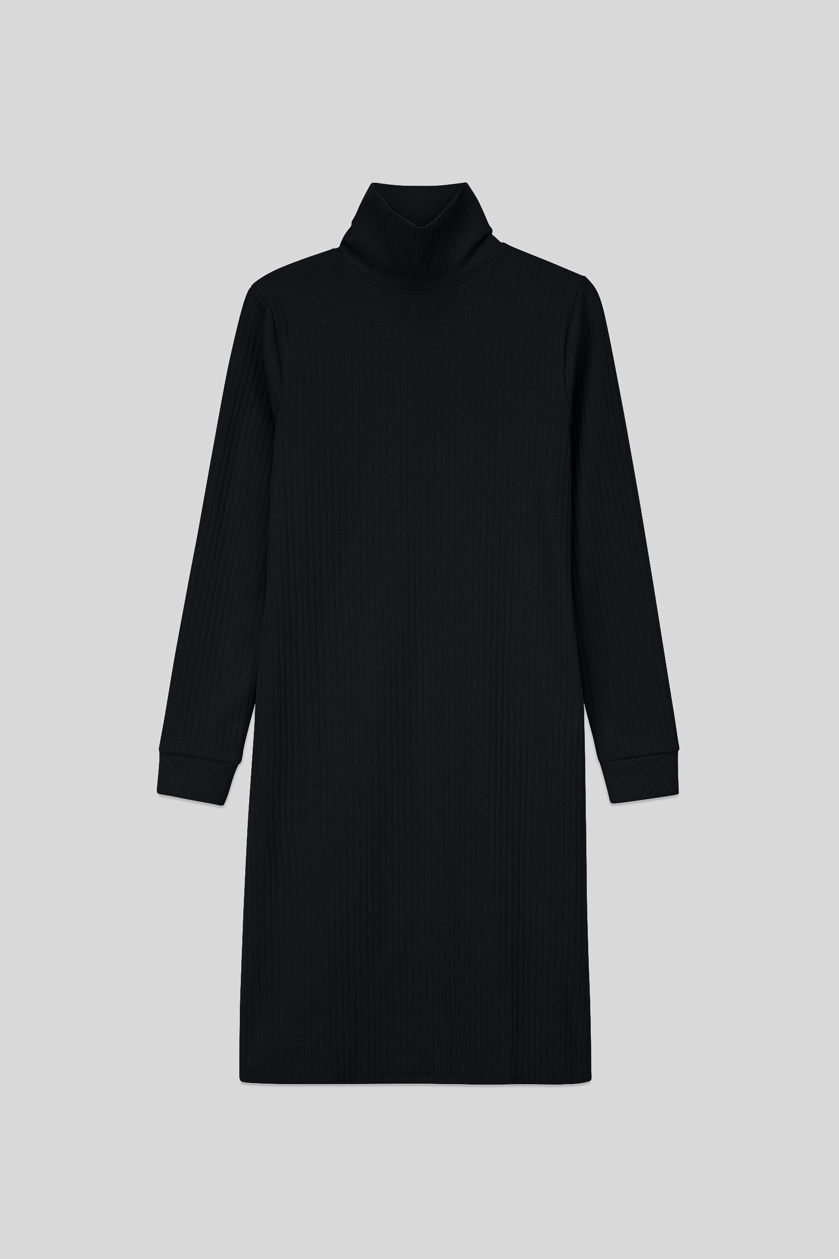 Ribbed Roll Neck Long Sleeve Mini Dress