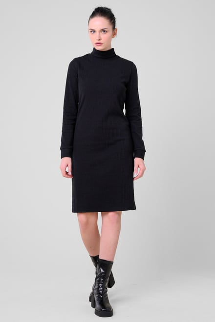 Ribbed Roll Neck Long Sleeve Mini Dress