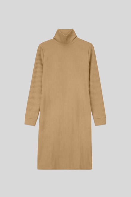 Ribbed Roll Neck Long Sleeve Mini Dress