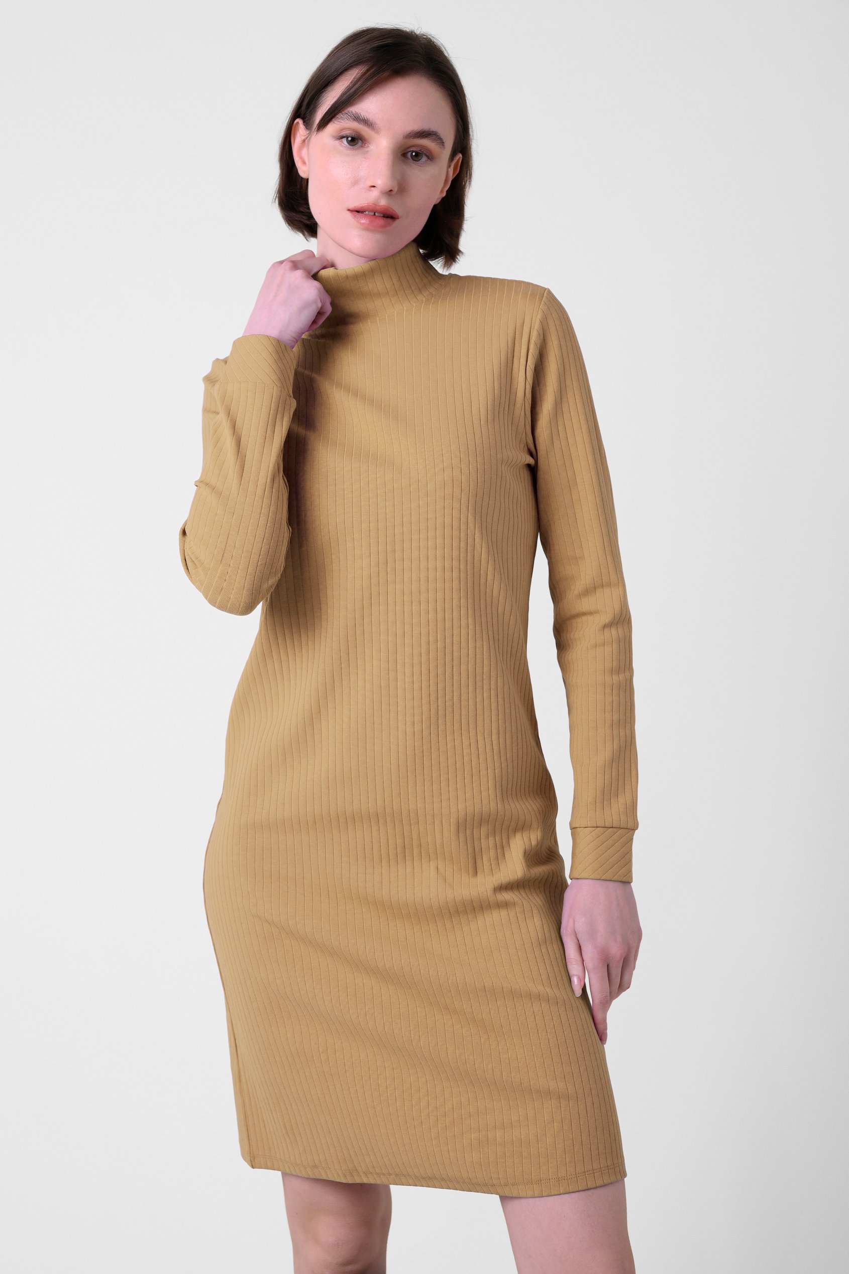 Ribbed Roll Neck Long Sleeve Mini Dress