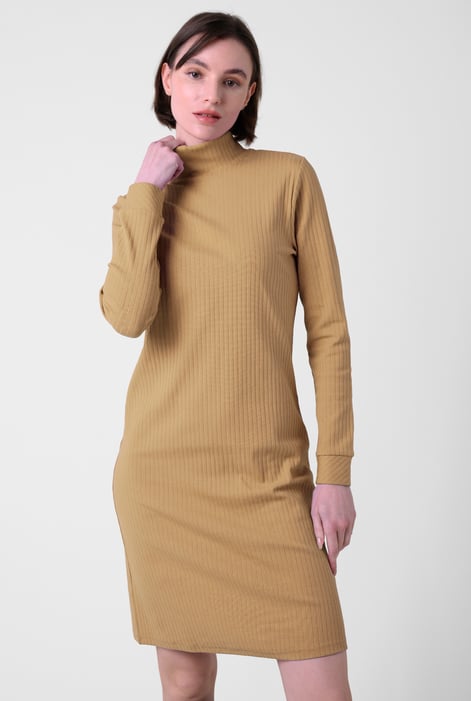 Black Ribbed Roll Neck Long Sleeve Mini Dress