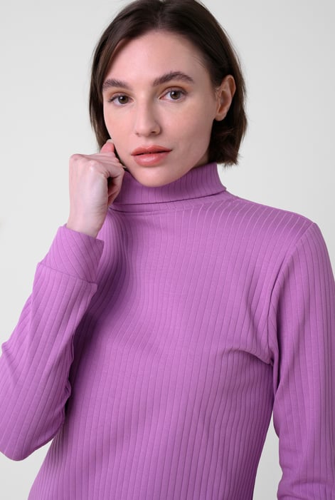 Purple Ribbed Roll Neck Long Sleeve Mini Dress