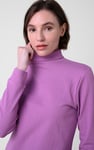 Ribbed Roll Neck Long Sleeve Mini Dress