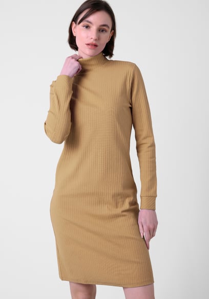 Ribbed Roll Neck Long Sleeve Mini Dress