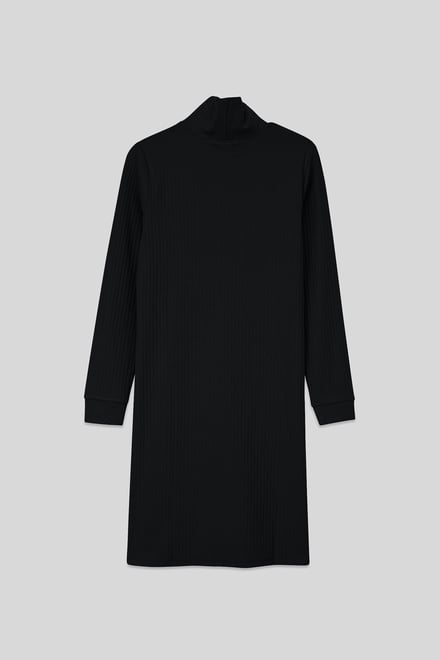Ribbed Roll Neck Long Sleeve Mini Dress