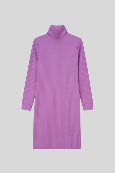 Ribbed Roll Neck Long Sleeve Mini Dress