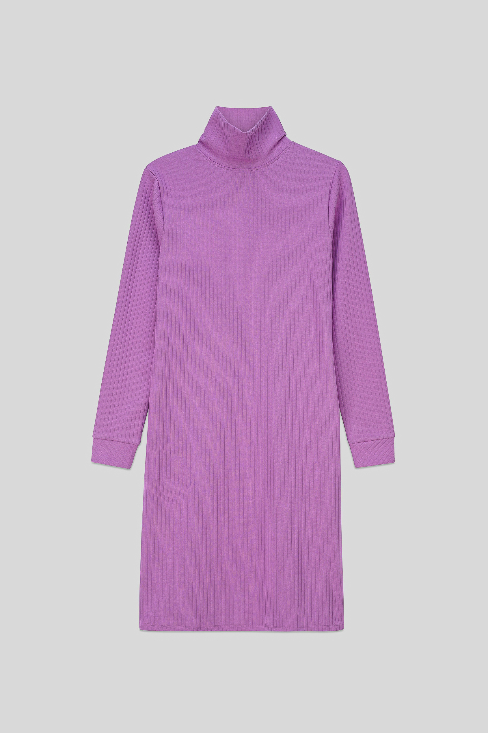Ribbed Roll Neck Long Sleeve Mini Dress