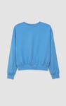 Ribbed Hem Cropped Sweatshirt