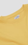 Ribbed Hem Cropped Sweatshirt