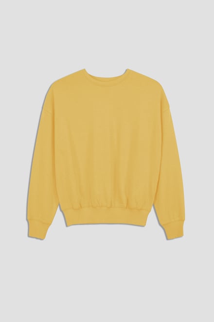 Ribbed Hem Cropped Sweatshirt