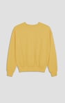 Ribbed Hem Cropped Sweatshirt