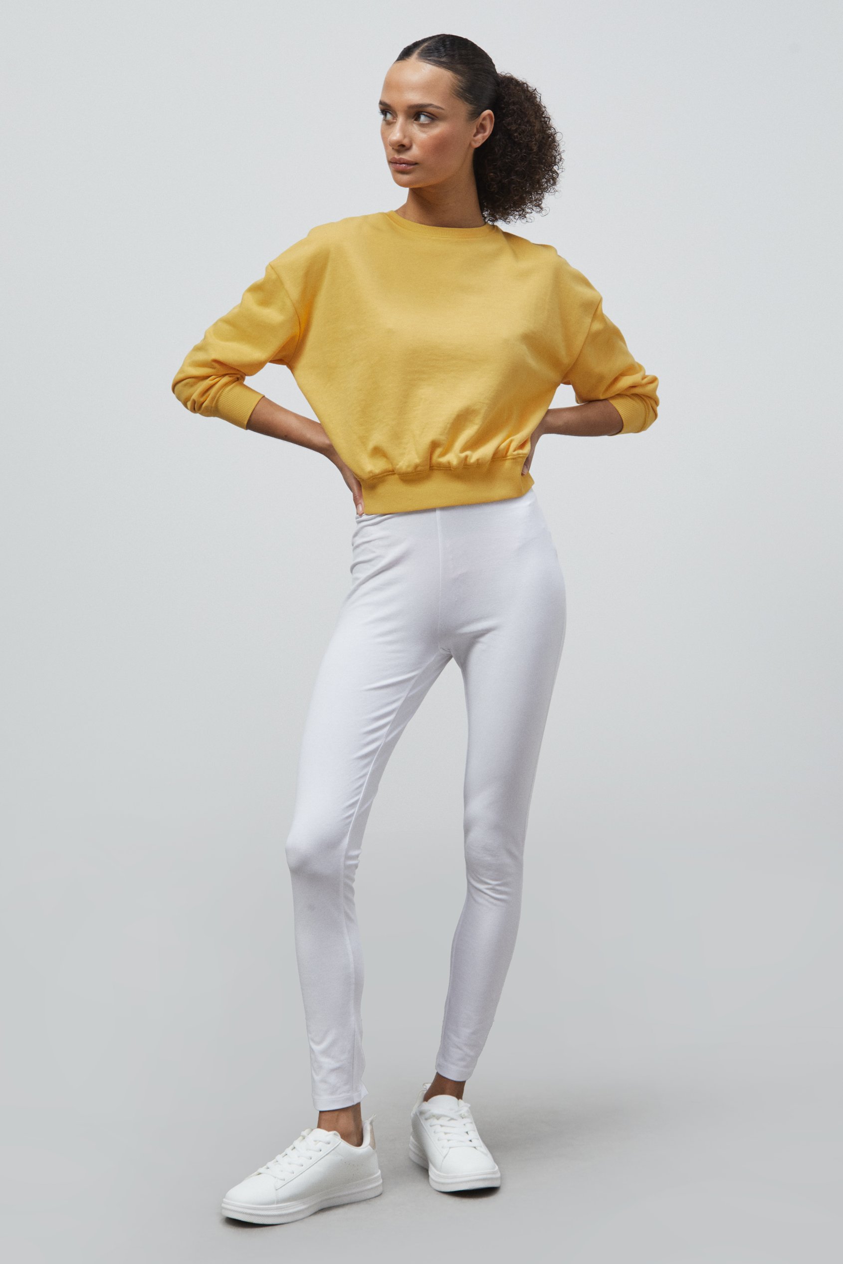 Ribbed Hem Cropped Sweatshirt