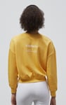 Ribbed Hem Cropped Sweatshirt