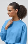 Ribbed Hem Cropped Sweatshirt