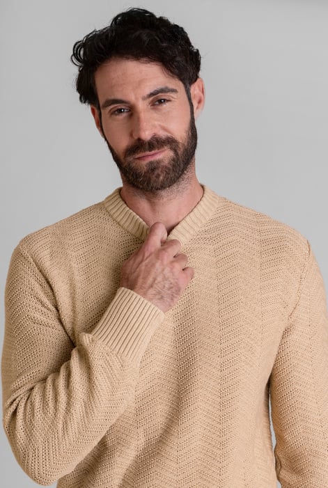 Light Brown Chevron Textured Crew Neck Jumper