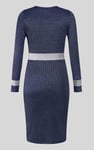 Shiny Silver Metallic Stretch Midi Dress