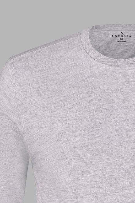 Regular Fit Long Sleeve T-Shirt 2 Pack
