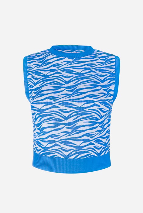 Blue Zebra Printed Top