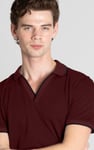 Regular Fit Ribbed V-Neck Polo Shirt