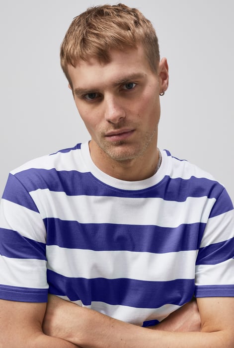 Blue Stripe T-Shirt