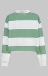 Raw Edge Hem Crop Striped Poloshirt YD