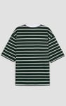Men's Striped Regular Fit T-Shirt
