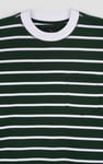 Men's Striped Regular Fit T-Shirt