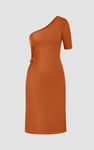 Asymmetric Neck Line Dress