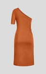 Asymmetric Neck Line Dress