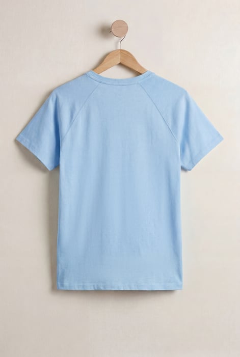Blue Patch Print Short Sleeve Raglan T-shirts
