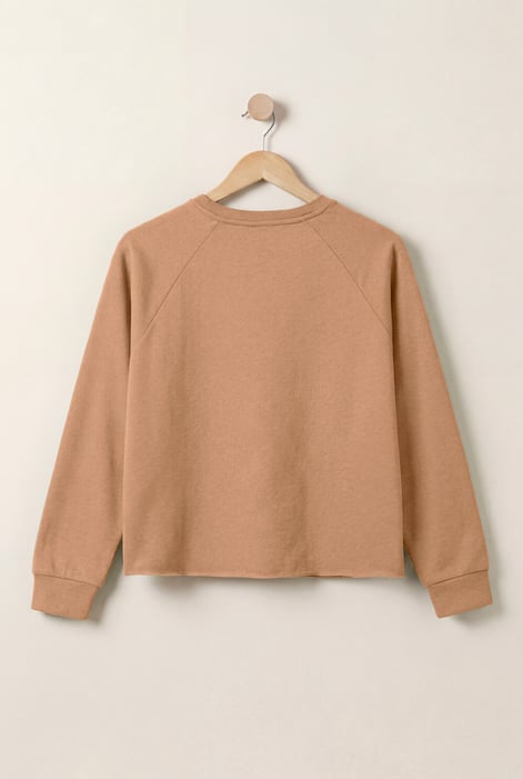Brown Raw Edge Sweatshirt