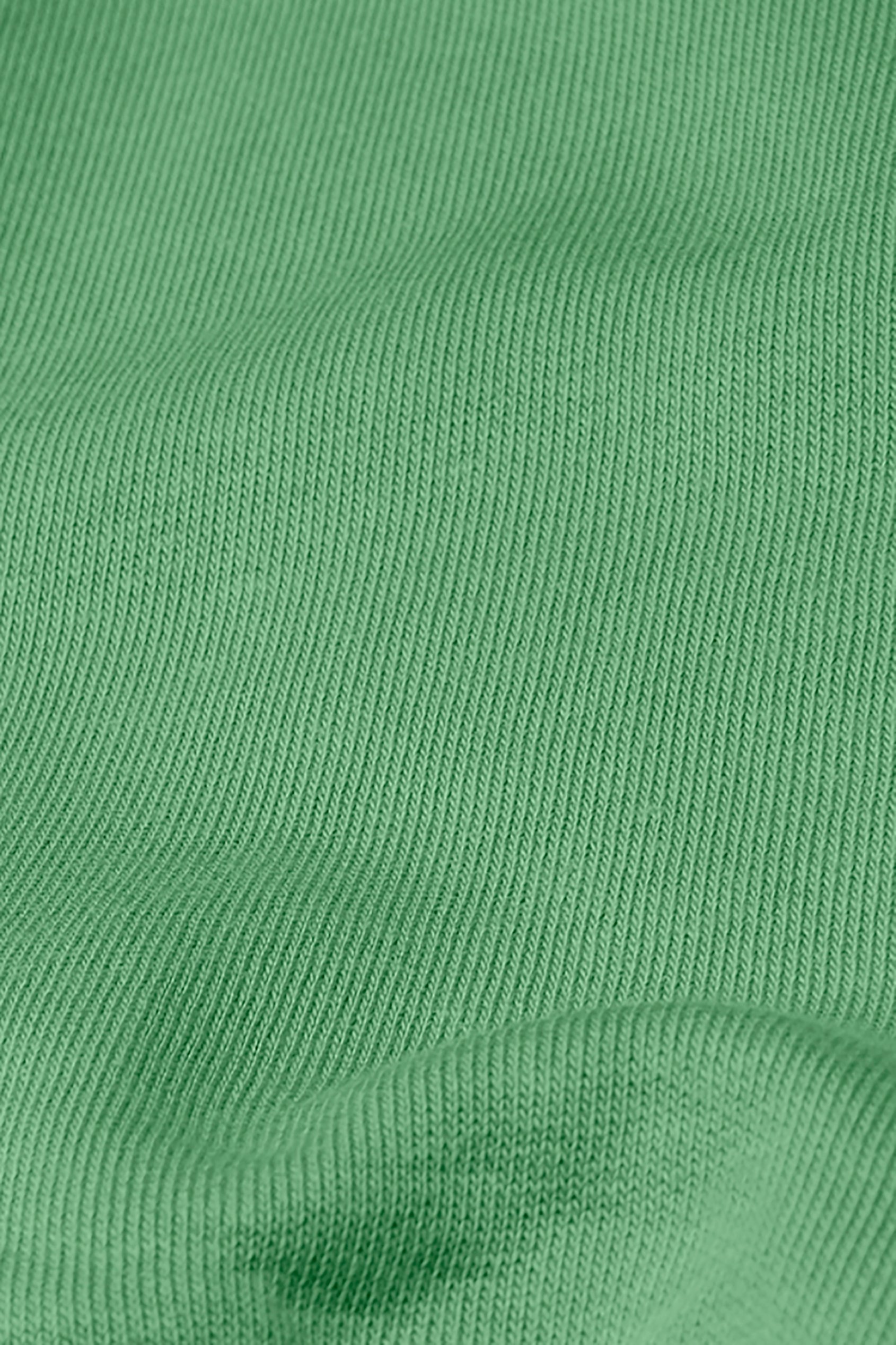 Ribbed Hem Cropped Sweatshirt