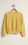 Ribbed Hem Cropped Sweatshirt