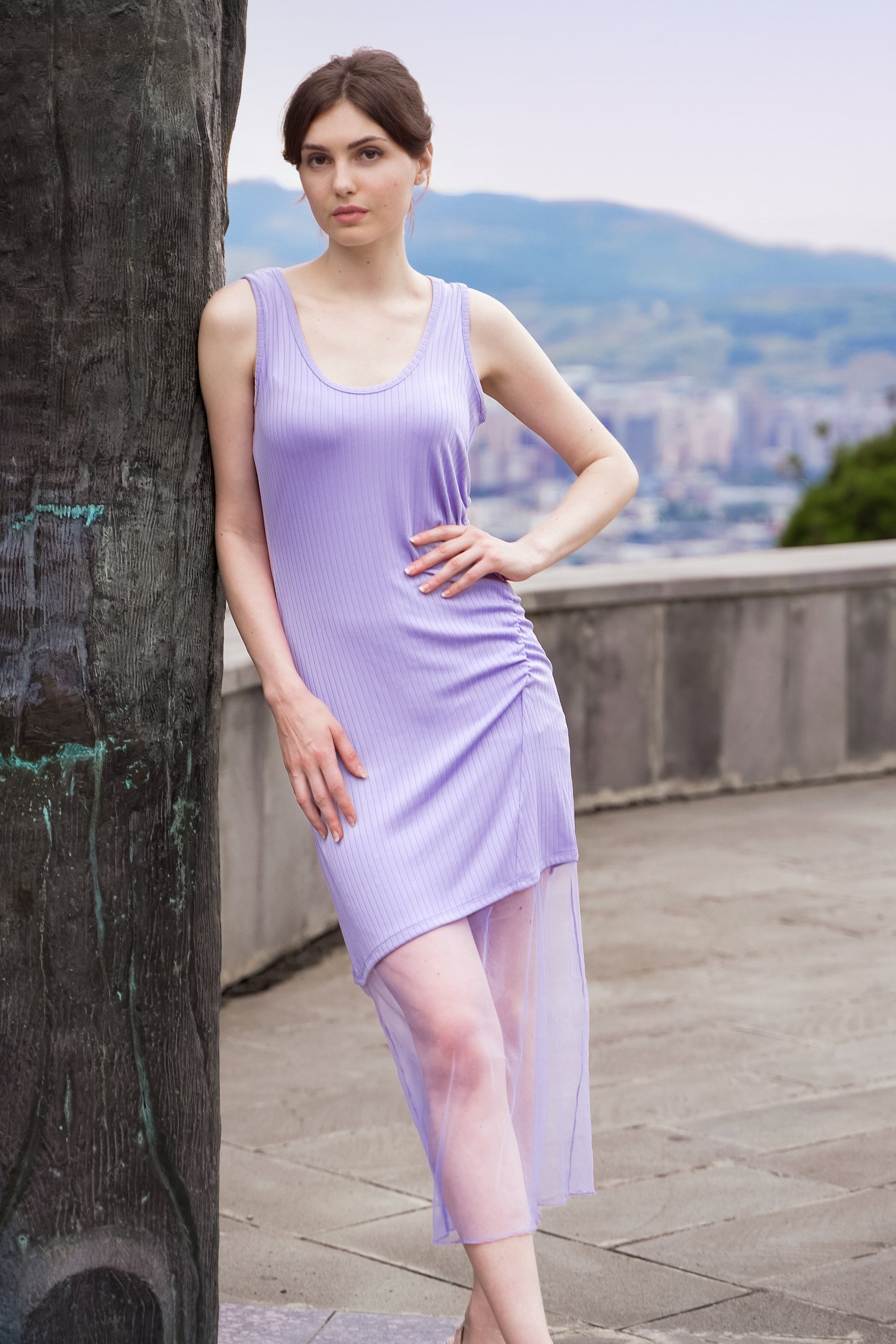 Chic Slim-Fit Dress with Mesh Detail