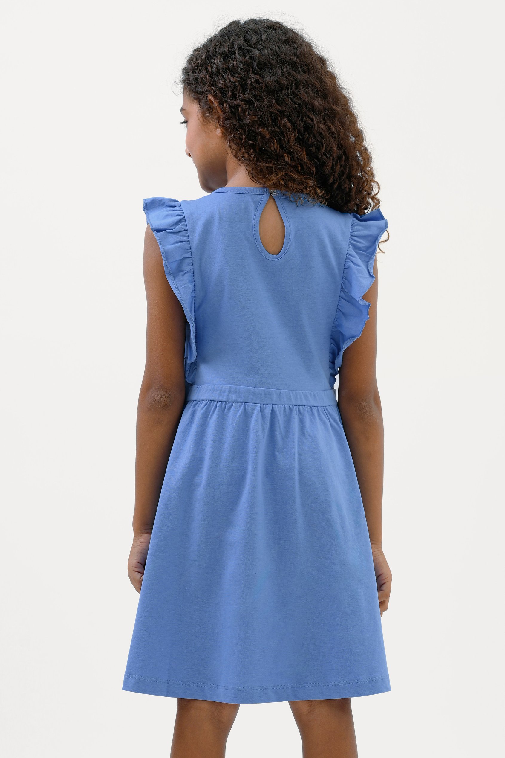Girls Ruffle Sleeve Dress (12/18mths - 6/7yrs)