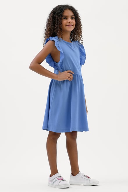 Girls Ruffle Sleeve Dress (12/18mths - 6/7yrs)
