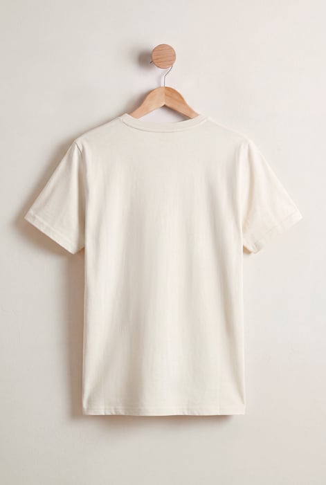 Grey V-Neck T-Shirt